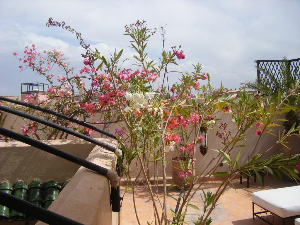 Riad Irene Marrakesh Buitenkant foto