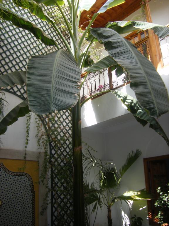 Riad Irene Marrakesh Buitenkant foto